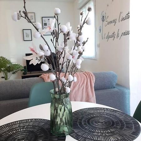 Apartament Proche Aeroport A Pied, Le Reve Rose. Tillé Zewnętrze zdjęcie