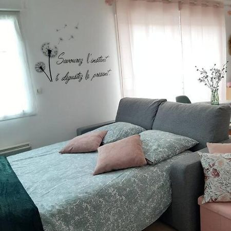 Apartament Proche Aeroport A Pied, Le Reve Rose. Tillé Zewnętrze zdjęcie