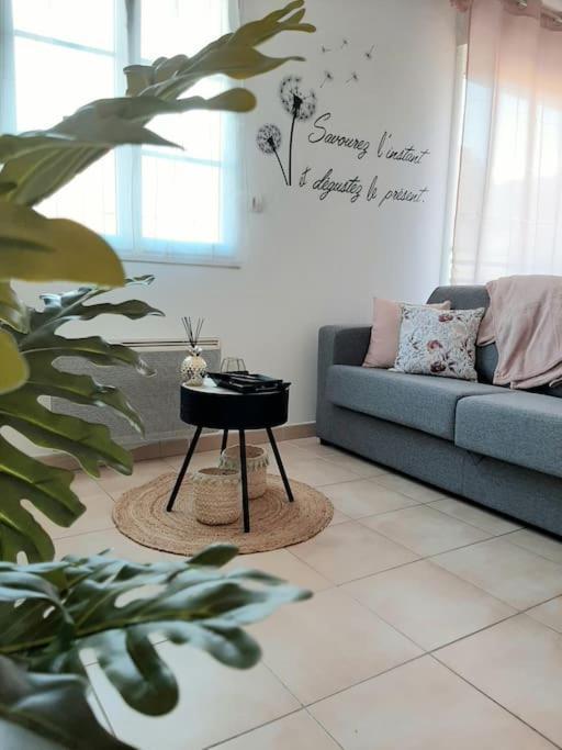 Apartament Proche Aeroport A Pied, Le Reve Rose. Tillé Zewnętrze zdjęcie