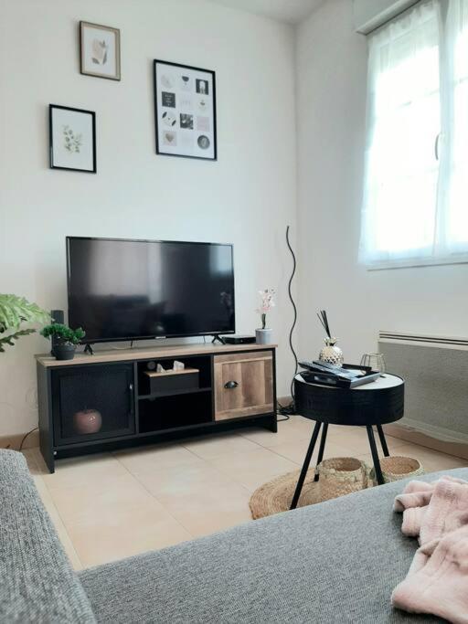 Apartament Proche Aeroport A Pied, Le Reve Rose. Tillé Zewnętrze zdjęcie